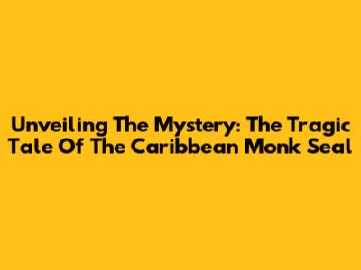 Unveiling The Mystery: The Tragic Tale Of The Caribbean Monk Seal