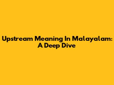 Upstream Meaning In Malayalam: A Deep Dive