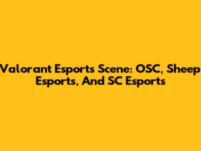 Valorant Esports Scene: OSC, Sheep Esports, And SC Esports