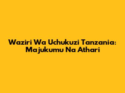 Waziri Wa Uchukuzi Tanzania: Majukumu Na Athari